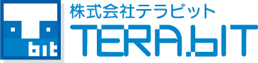 株式会社テラビット